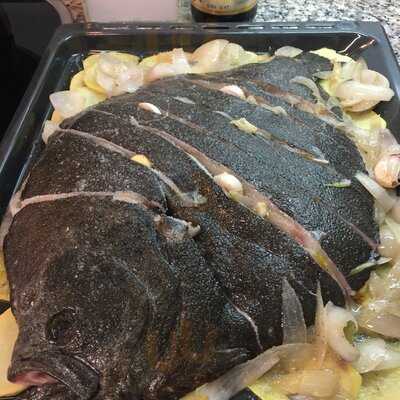 Pity Platilleria Vermuteria