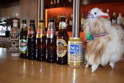 Kuntur - Brasas Peruanas