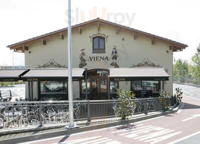 Viena