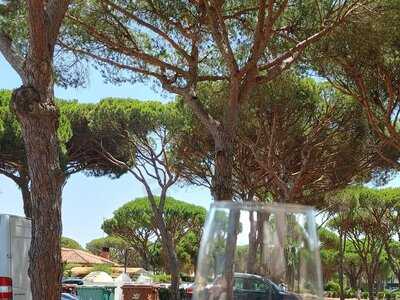 Bar-freiduria Asado Roche