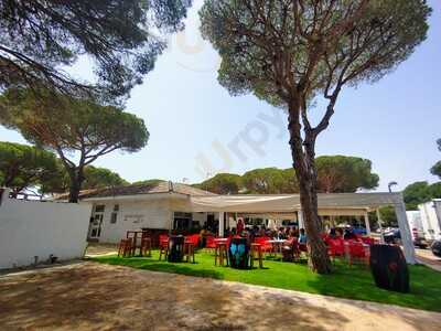 Bar-freiduria Asado Roche