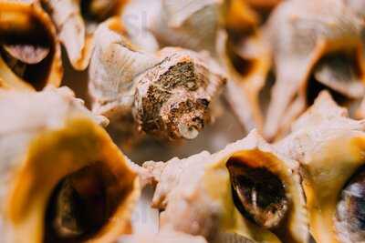 Marisquería Gran Avenida