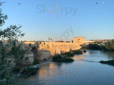 Federacion De Peñas