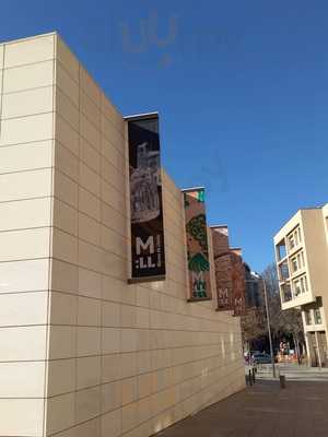 Cafe Del Museu