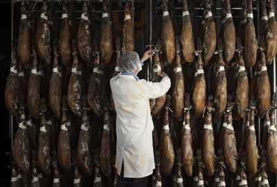 Señorío De Montanera