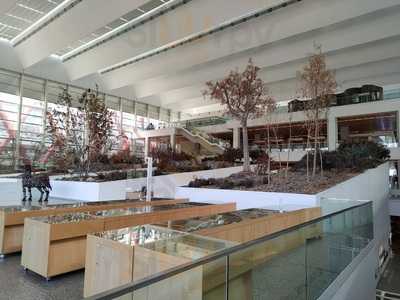 Restaurante De Museo De La Evolucion Humana