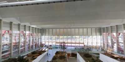 Restaurante De Museo De La Evolucion Humana