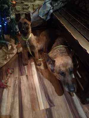 A Taberna Da Chorima