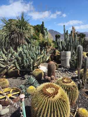 Asador Restaurante Grill La Ganania
