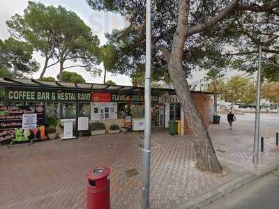 Paradise Beach Palmanova