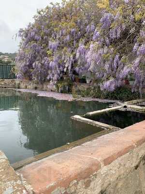 Restaurant Ca L'oliva