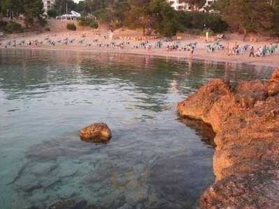 S'arenal Restaurante