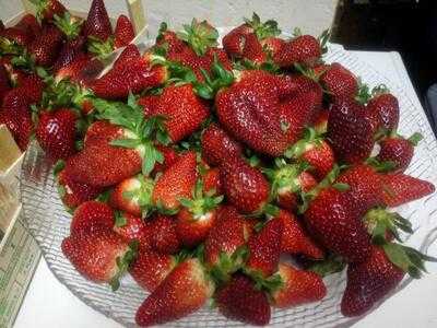 El Jardin De La Salamandra