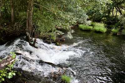Restaurante A Casa Do Cura
