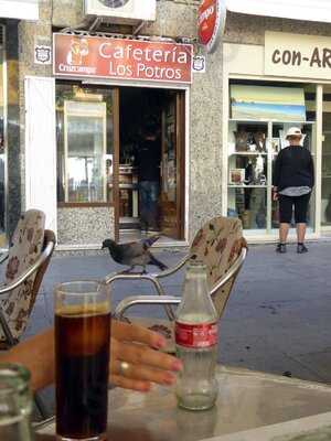 Cafeteria Los Potros