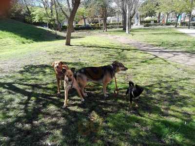 Club Petanca Castelldefels