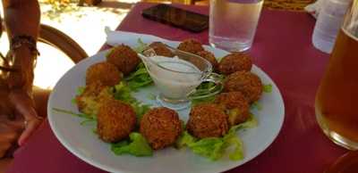 Bar Restaurante Camping Paloma