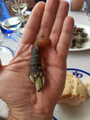 Villa Del Prado Cafe Bar