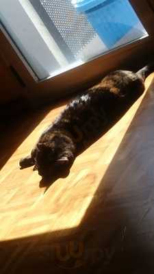 La Casa De Mi Abuela