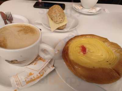 Catafal Forners Des De