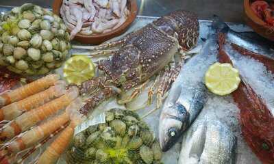 Bar-restaurante La Senia