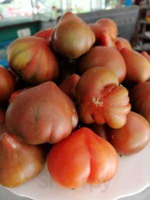 Huerto Del Ruiseñor