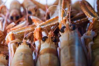 Restaurante Tito Cierto