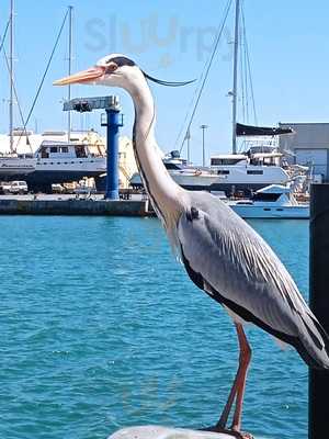 Restaurante Antic Barrina