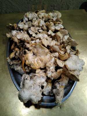 La Roda Del Calderer