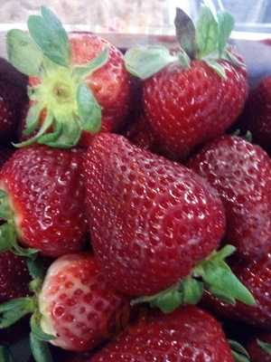 Antigua Abaceria El Conde