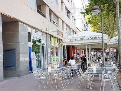 Cerveceria La Surena