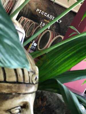 Piccadilly Desde 1994