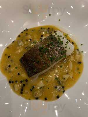 Sheyton By David Molina