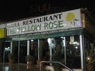 The Yellow Rose