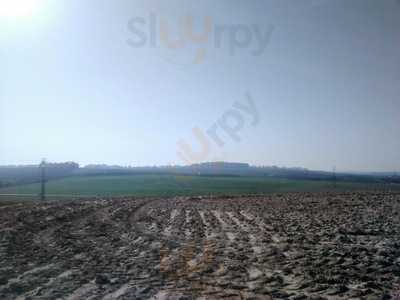 Restaurante Vina San Cayetano