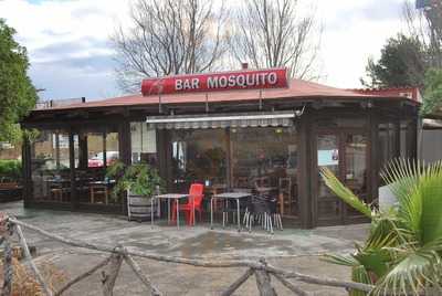 Bar Mosquito