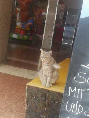 Restaurant Café München