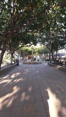 Mahal Tandoori Indian Restaurant