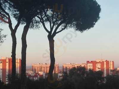 Bar Terraza Parque Moret