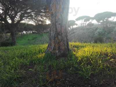 Bar Terraza Parque Moret