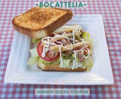 Bocattelia