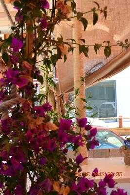 Cafe' Le Vele...sapori Di Mare