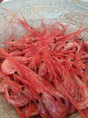 El Capricho De Nicomedes