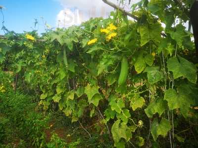 La Cocina Norte Dechina