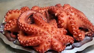 Restaurante Bodegón Do Pulpo