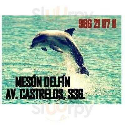 Meson Delfín