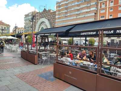 Cafeteria Semilla Negra