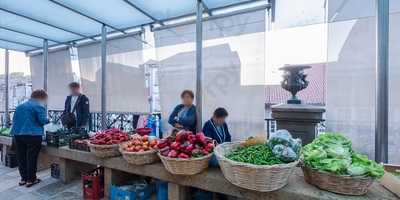 Jose Bermudez Gourmet