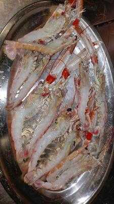 Bar Restaurant El Maset