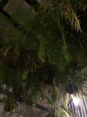 Bendita Dolores Bar Y Parrilla